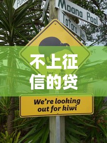 不上征信的贷款可靠吗？这3个坑千万别踩！