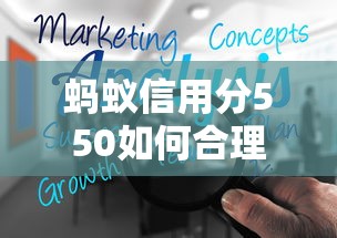 蚂蚁信用分550如何合理规划贷款额度？这几点必须注意