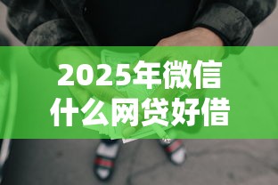 2025年微信什么网贷好借钱？公布5个借款1500必下的平台黑户