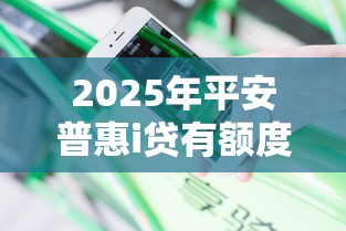 2025年平安普惠i贷有额度被拒，分享五个贷款平台代理