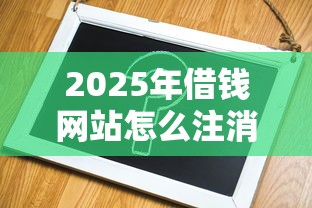 2025年借钱网站怎么注消微信：看看这5个年龄65了可以申请的网贷平台