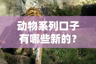 动物系列口子有哪些新的？盘点5个靠谱平台申请攻略