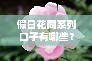 假日花同系列口子有哪些？这几家平台靠谱又省心！