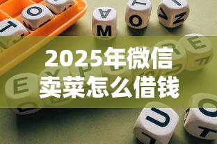 2025年微信卖菜怎么借钱的：分享5个网贷平台正规