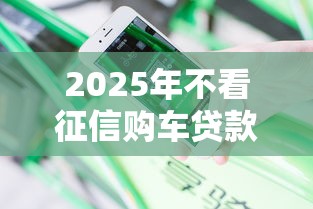 2025年不看征信购车贷款，分享五个买车贷款平台