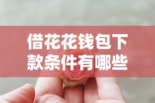 借花花钱包下款条件有哪些？这几个关键点必须达标