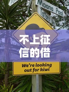 不上征信的借款平台有哪些？这5类渠道实测可用