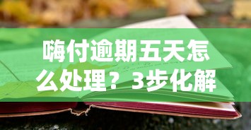 嗨付逾期五天怎么处理？3步化解逾期风险