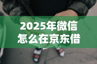 2025年微信怎么在京东借钱？试试这五个综合评分不足网贷平台可以借款