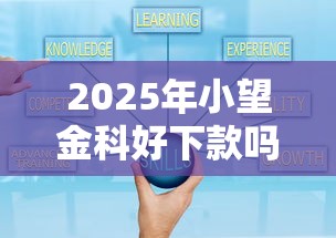 2025年小望金科好下款吗，梳理5个平台好贷款