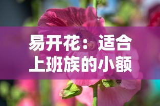 易开花：适合上班族的小额贷款产品真实测评