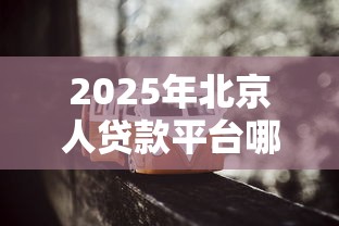 2025年北京人贷款平台哪个好下款：试试这5个平台借钱不还怎么处理