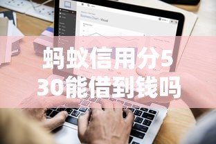 蚂蚁信用分530能借到钱吗？这5个企业贷款平台实测通过率高