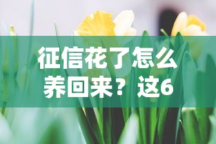 征信花了怎么养回来？这6个步骤能救你的信用分