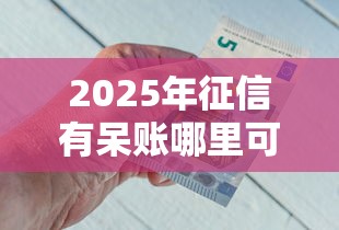 2025年征信有呆账哪里可以借到钱，罗列五个借钱平台好通过
