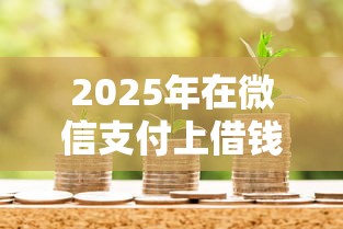 2025年在微信支付上借钱：看看这五个十七岁可以贷款的平台