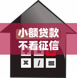 小额贷款不看征信秒批？亲身实测后终于弄明白了