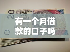 有一个月借款的口子吗？短期周转这些方案或许能帮你