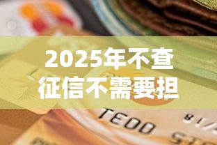 2025年不查征信不需要担保人的贷款？罗列5个买车贷款平台