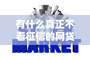 有什么真正不看征信的网贷靠谱吗？实测分析