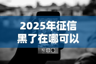 2025年征信黑了在哪可以借到钱，罗列五个比较容易借钱的平台
