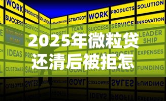 2025年微粒贷还清后被拒怎么办，公布5个贷款服务平台