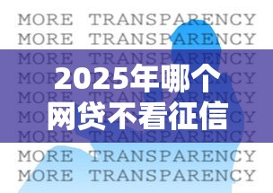 2025年哪个网贷不看征信能贷到钱的：整合5个51卡论坛网贷口子