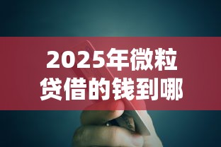 2025年微粒贷借的钱到哪里了：公布5个低息贷款平台