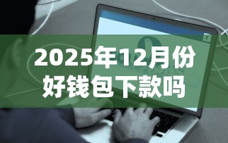 2025年12月份好钱包下款吗，公布五个现在平台借钱容易下款