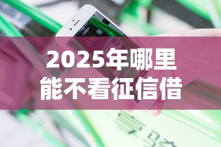 2025年哪里能不看征信借款记录，公布五个平台贷款安全