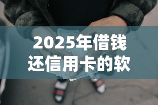 2025年借钱还信用卡的软件吗，看看这5个网贷比较正规的平台
