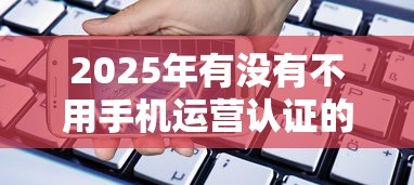 2025年有没有不用手机运营认证的贷款：梳理五个17周岁贷款平台