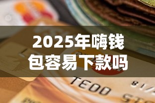 2025年嗨钱包容易下款吗，看看这五个比较好的小额贷款口子