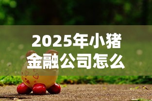 2025年小猪金融公司怎么样？推荐5个无视黑户下款口子