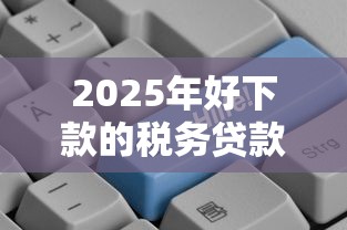 2025年好下款的税务贷款平台？罗列5个网上私人借钱平台