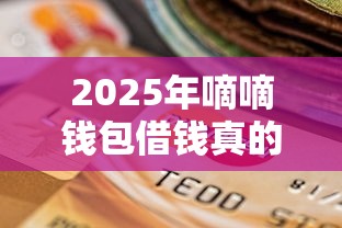 2025年嘀嘀钱包借钱真的么？看看这5个平台贷款容易