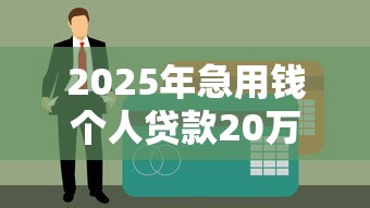 2025年急用钱个人贷款20万，看看这五个申请网贷秒拒还有哪几个平台可以借