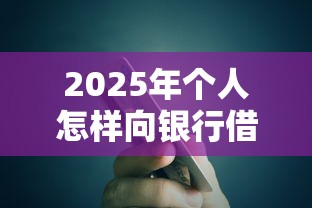 2025年个人怎样向银行借钱？试试这五个贷款的平台