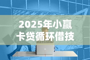 2025年小赢卡贷循环借技巧，试试这五个哪些低息可靠可以分12期以上的借款平台