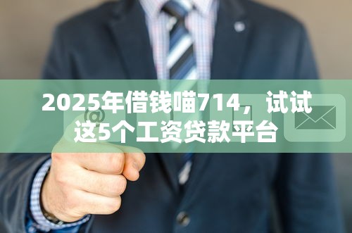 2025年借钱喵714，试试这5个工资贷款平台