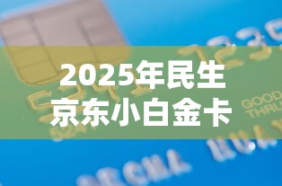 2025年民生京东小白金卡被拒？整合五个口子贷款