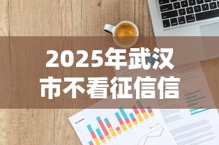 2025年武汉市不看征信信用贷款：试试这五个平安贷款平台