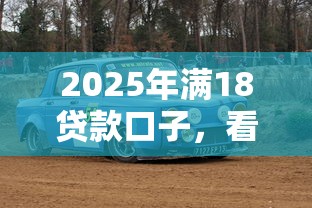 2025年满18贷款口子，看看这5个最新黑口子秒过的