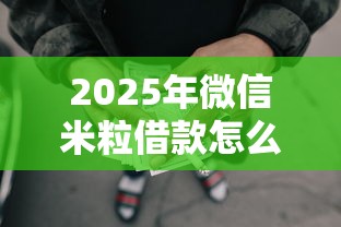 2025年微信米粒借款怎么借钱：公布5个2025黑户网贷必下款的平台