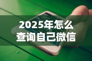 2025年怎么查询自己微信支付的额度？梳理5个可以不看征信就能下款的平台