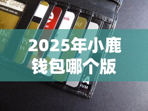 2025年小鹿钱包哪个版本好下款？看看这5个贷款加盟平台
