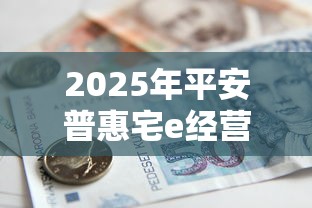 2025年平安普惠宅e经营贷银行被拒，罗列五个平台能贷款