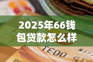 2025年66钱包贷款怎么样？公布5个好一点的网贷平台
