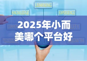 2025年小而美哪个平台好下款：公布5个平台最容易贷款
