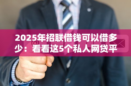 2025年招联借钱可以借多少：看看这5个私人网贷平台